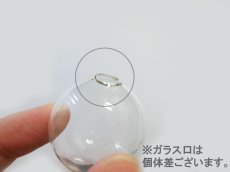 画像5: 球体ガラスドーム（25mm）（※注意事項有り） (5)