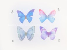 画像1: 蝶々モチーフ（5個入）（※注意事項有り） (1)
